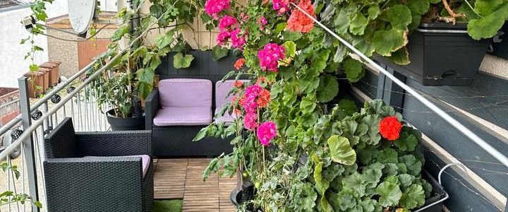 Gemütliches Zimmer in Hattersheim am Main - Foto 1