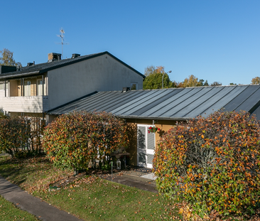 Magister Haralds väg, Trekanten - Foto 1