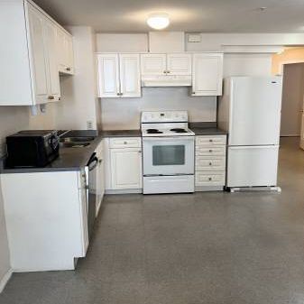 2-Bedroom Basement Suite for Rent in Kitsilano – Available March 15th! - Photo 3