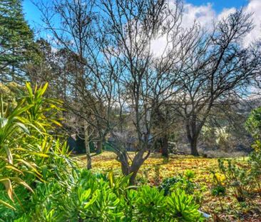 Basket Range - Photo 4