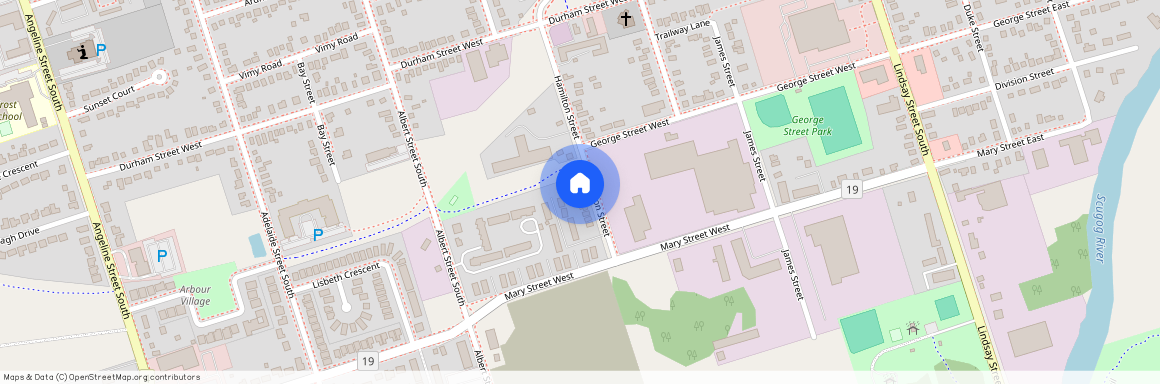 29 Hamilton Street, Kawartha Lakes