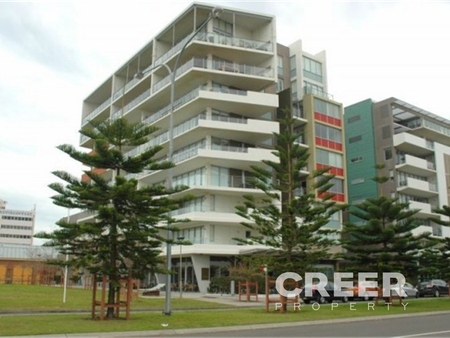 102/2 Honeysuckle Drive, Newcastle - Photo 2