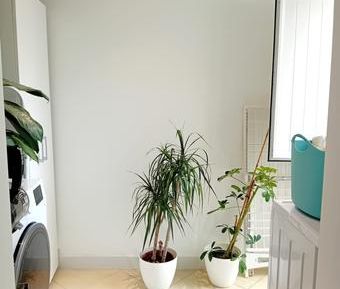 Apartamento T2 - Photo 6