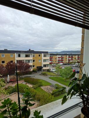 Sälggatan, Jönköping - Foto 1