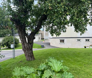 Bergsgatan, Sundsvall - Foto 5