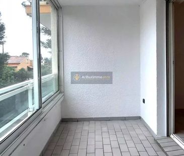 Location Appartement 1 pièces 30 m2 à Saint-Aygulf - Photo 4