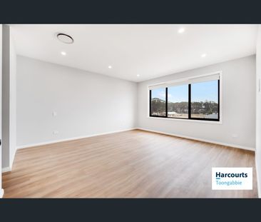 45 Globe Street, Grantham Farm, NSW 2765 - Photo 5
