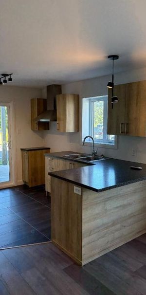 Appartement moderne 3 chambres – lumineux, animaux acceptés, stationnement inclus - Photo 1