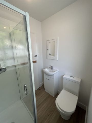 Newly Renovated Richmond Unit. - Photo 3