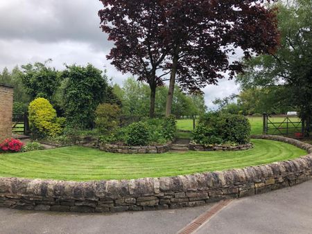 3 bedroom property to rent - Photo 3