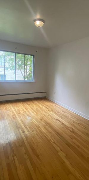 NDG Apt 1 bedroom - Photo 1