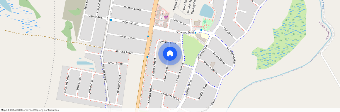 21 Pear Street, NSW 2321, Gillieston Heights