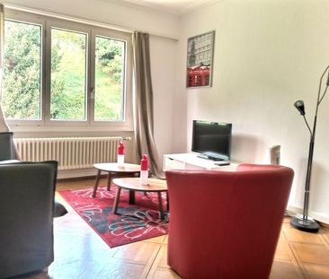 Furnished 3.5 room apartment - Photo 4