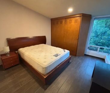 Renta casa amueblada en Fracc. con área verde. Residencial del Bosq... - Photo 5