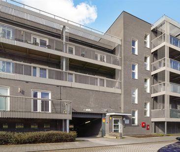 Apartment To Let - Photo 2