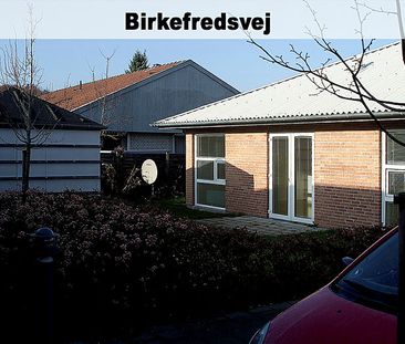 Rørsangervej,Teglvænget,Birkefredsvej 446-0 - Photo 2