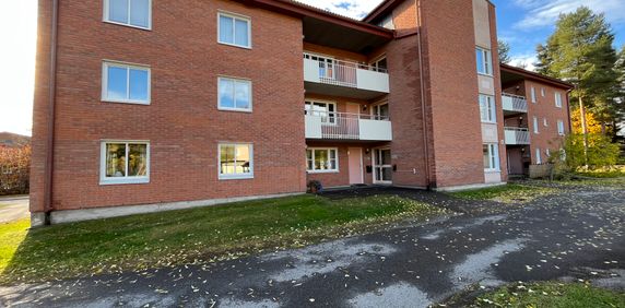 Stackgatan, Skellefteå - Photo 2