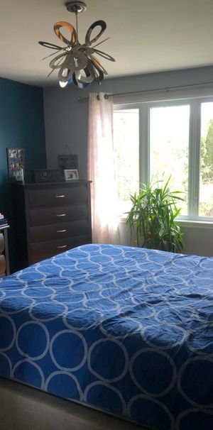 Grand 5 1/2 à Louer - Photo 1