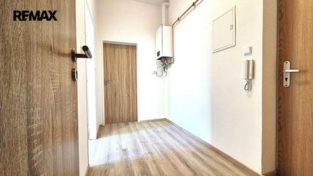 Pronájem bytu 1+1 v osobním vlastnictví 45 m², Litoměřice - Fotografie 3