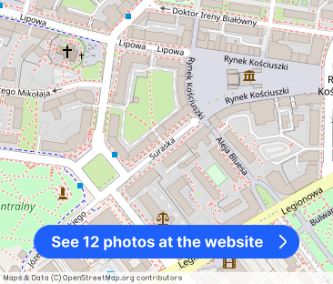 Mieszkanie 48m2, ścisłe centrum - Photo 1