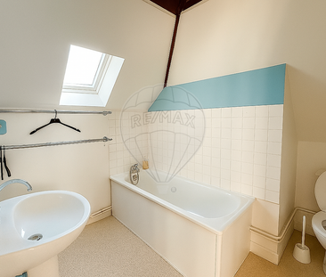 Location Appartement 1 pièce 19m² STE SAVINE 10300 - Photo 3