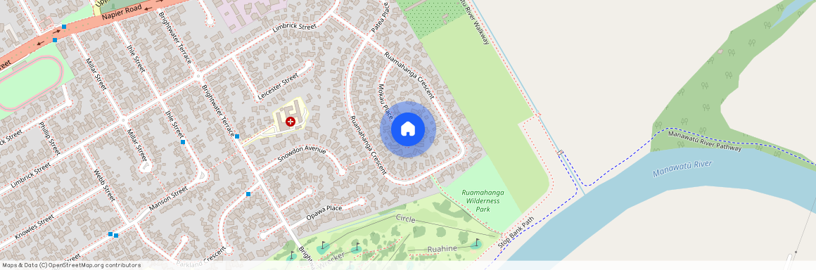 25 Mokau Place, Terrace End, Palmerston North City