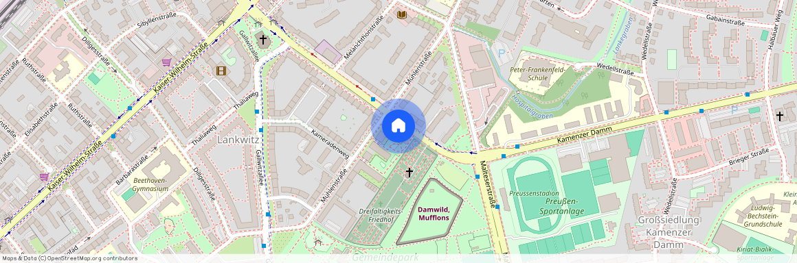 Paul-Schneider-Straße 42, 12247, Berlin