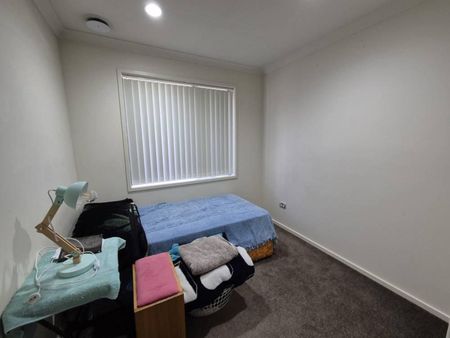 Private rear section, 4 bed + 1 Bath - Photo 3