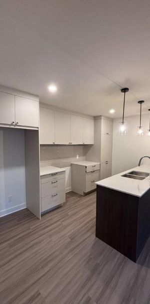 2 CH - 1 SDB - Saint-Hyacinthe - $1,400 /mo - Photo 1