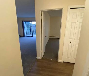 Olympic View Terrace — 1 Bedroom - Photo 3