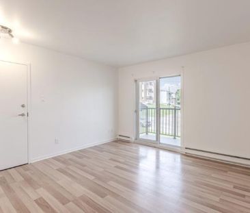 Appartement 3 ½ à louer Sainte-Foy / Sillery février 2026 - Photo 3