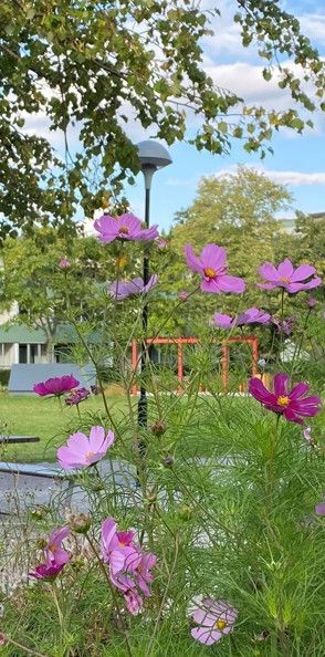 Svansjögatan 35, Bellevuegården - Photo 1