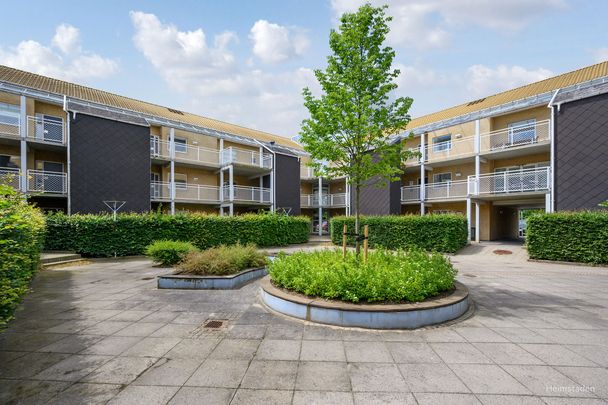 Pæregrenen 19, 5220 Odense SØ - Foto 1