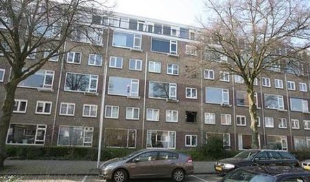 Barnsteenlaan 3523 BD Utrecht - Foto 3