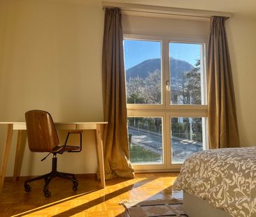 3½ ZI-WOHNUNG IN PREGASSONA (TI), MÖBLIERT - Photo 6