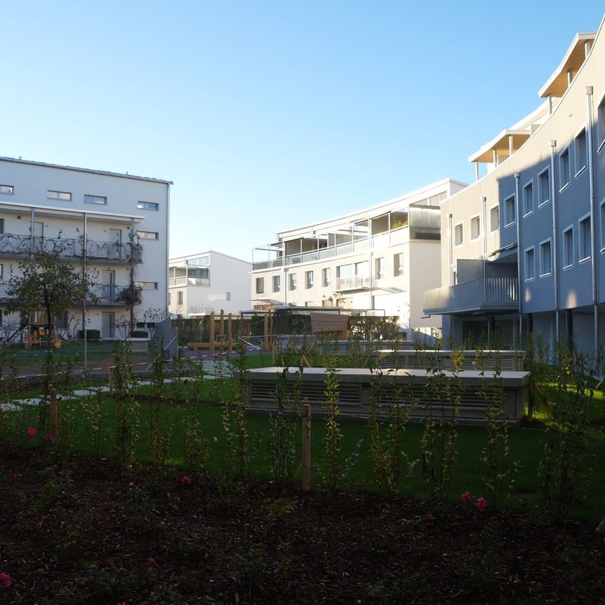 3.5 Zimmer, 89 m², 2. Stock - Foto 1