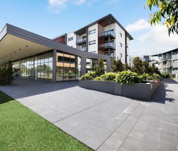 For Lease – Brand New Roof Top 1 Bedroom Apartment - Photo 5