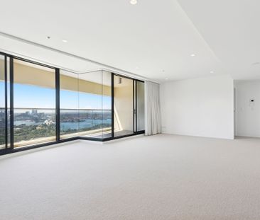 3902/184 Forbes Street, Darlinghurst NSW 2010 - Apartment For Rent ... - Photo 1
