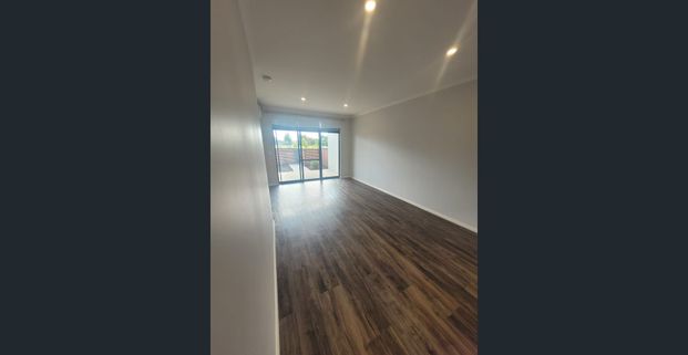 Modern Parkside Living | Huge Entertainer's Courtyard | 2x2x2 - Photo 1