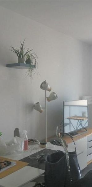 Location Appartement 1 pièce 27m² MONTPELLIER 34090 - Photo 1