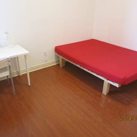 Downtown Toronto, College/Bathurst Basement room shared bath 800/Month - Photo 1