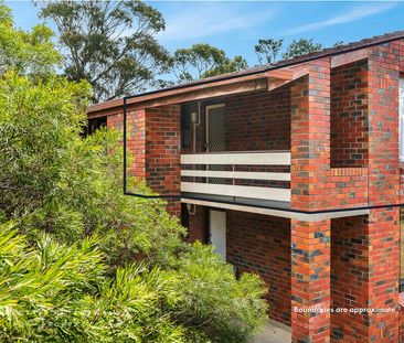6 / 43 Olinda Grove - Photo 3