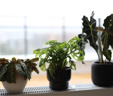 Nygatan 34 - Photo 4