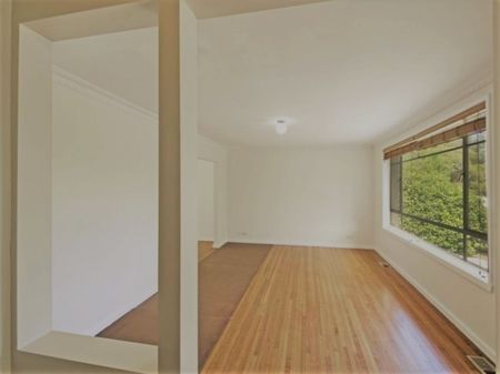 78 Pennefather Street, Higgins ACT 2615 - House For Rent | Domain - Photo 4