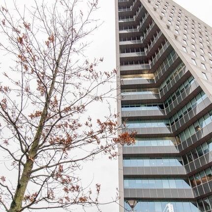 Te huur: Appartement Leyweg in Den Haag - Photo 1