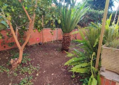 Monteverde Vecchio-Terrace: Furnished 2 Bedroom, 2 Bath, spacious kitchen, living, large private terrace and garden. Bright, silent, near shops, services and transport, located on a quite street in a well kept building. Possible parking. Ref 2375