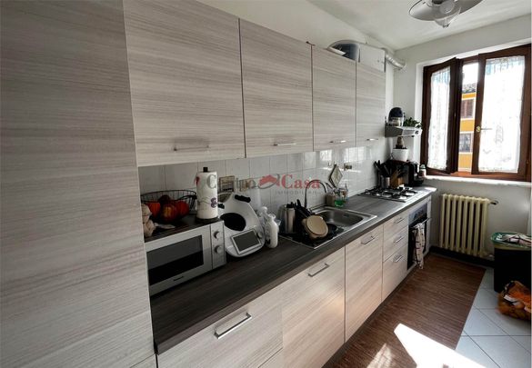 Grazioso tricolare in contesto di corte. - Photo 1