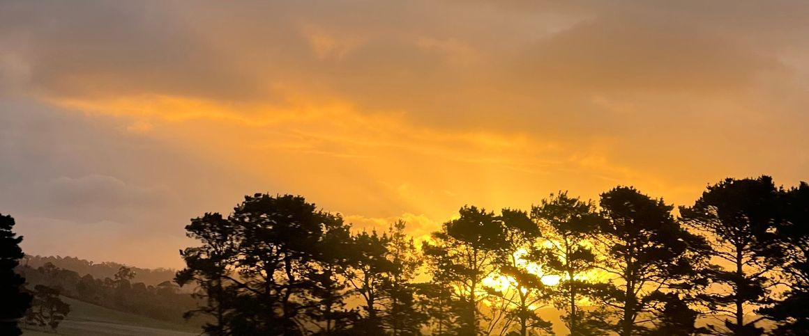 Hurstville - Photo 1