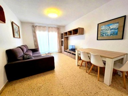 Gandia - Photo 5