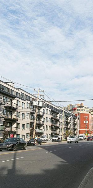 5675-5725 Côte-St-Luc Road - Hampstead House - 1 Bedroom - 5675 Chemin De La Côte-Saint-Luc, Montréal - Photo 1